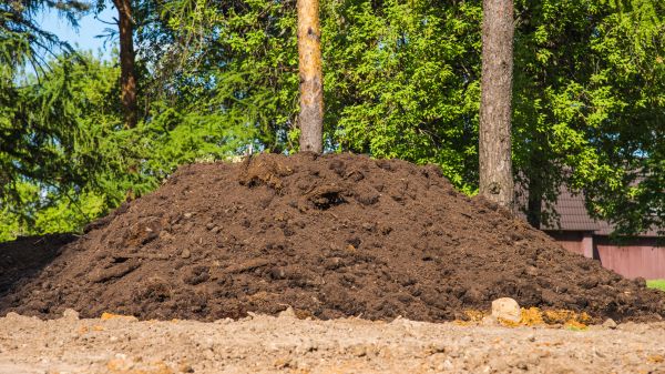 Dirt Installation in East Lansing