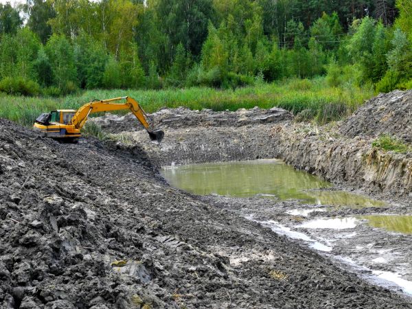 Fish Pond Digging in East Lansing