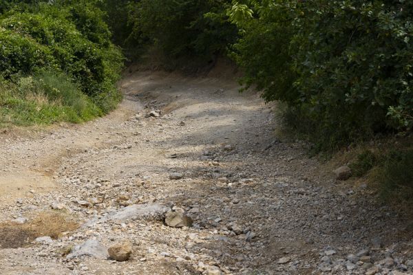 Gravel Road Pothole Repair in East Lansing