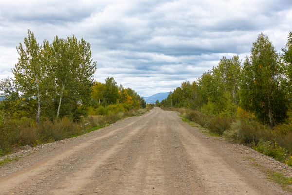 Dirt Road Repair in East Lansing