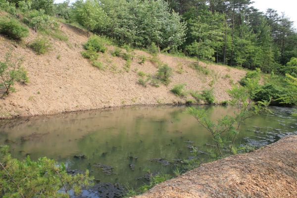 Pond Erosion Repair in East Lansing