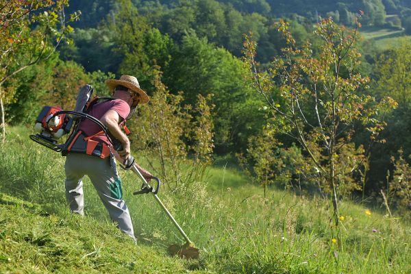 Cost of Slope Trimming in East Lansing